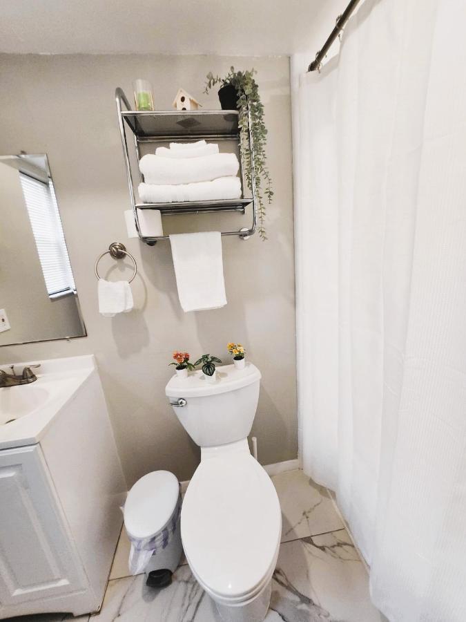 Adorable Mini Suite In Tampa Exterior photo