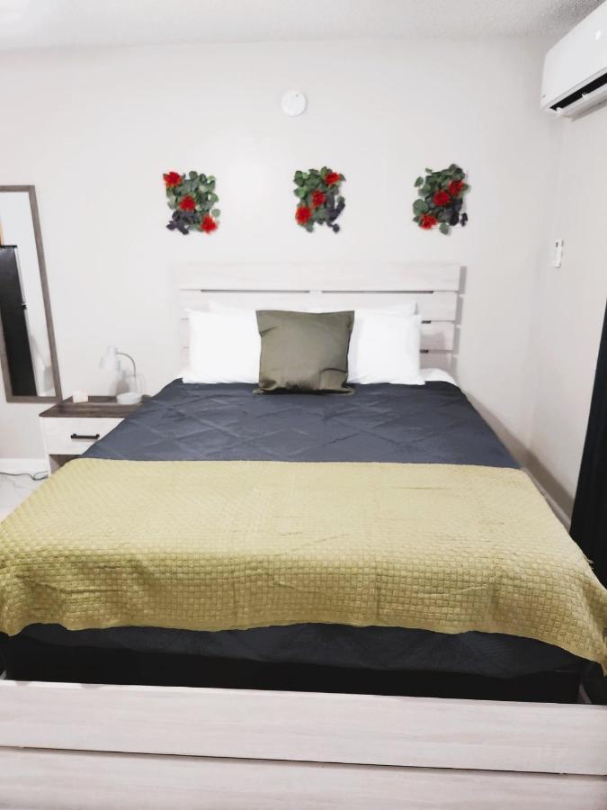Adorable Mini Suite In Tampa Exterior photo