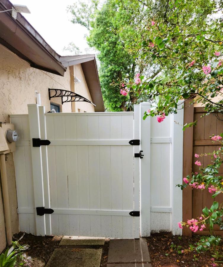 Adorable Mini Suite In Tampa Exterior photo